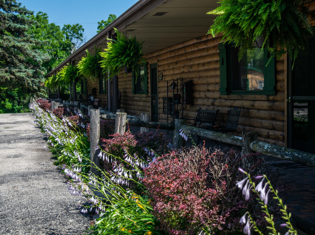 Lazy Cloud Inn主图