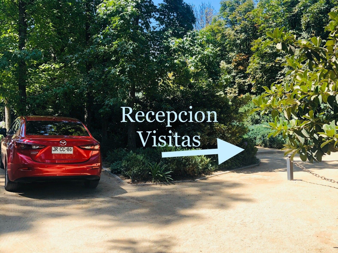 Vina Errazuriz-San Felipe必去景点