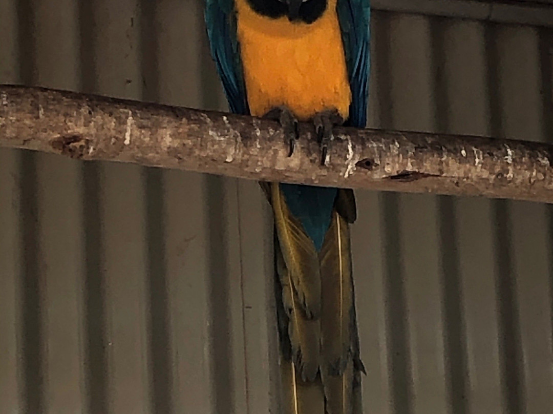 Taralga Wildlife Park-Taralga必去景点