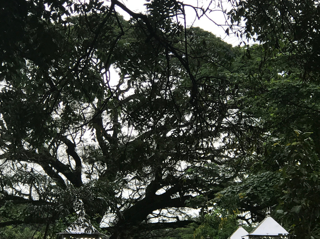 Mahiyangana Raja Maha Viharaya-Mahiyanganaya必去景点