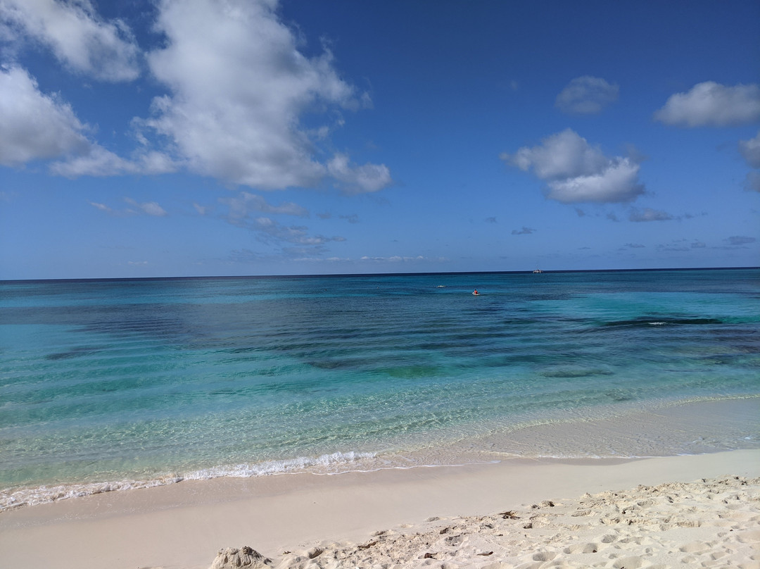 Turks Head Inne主图