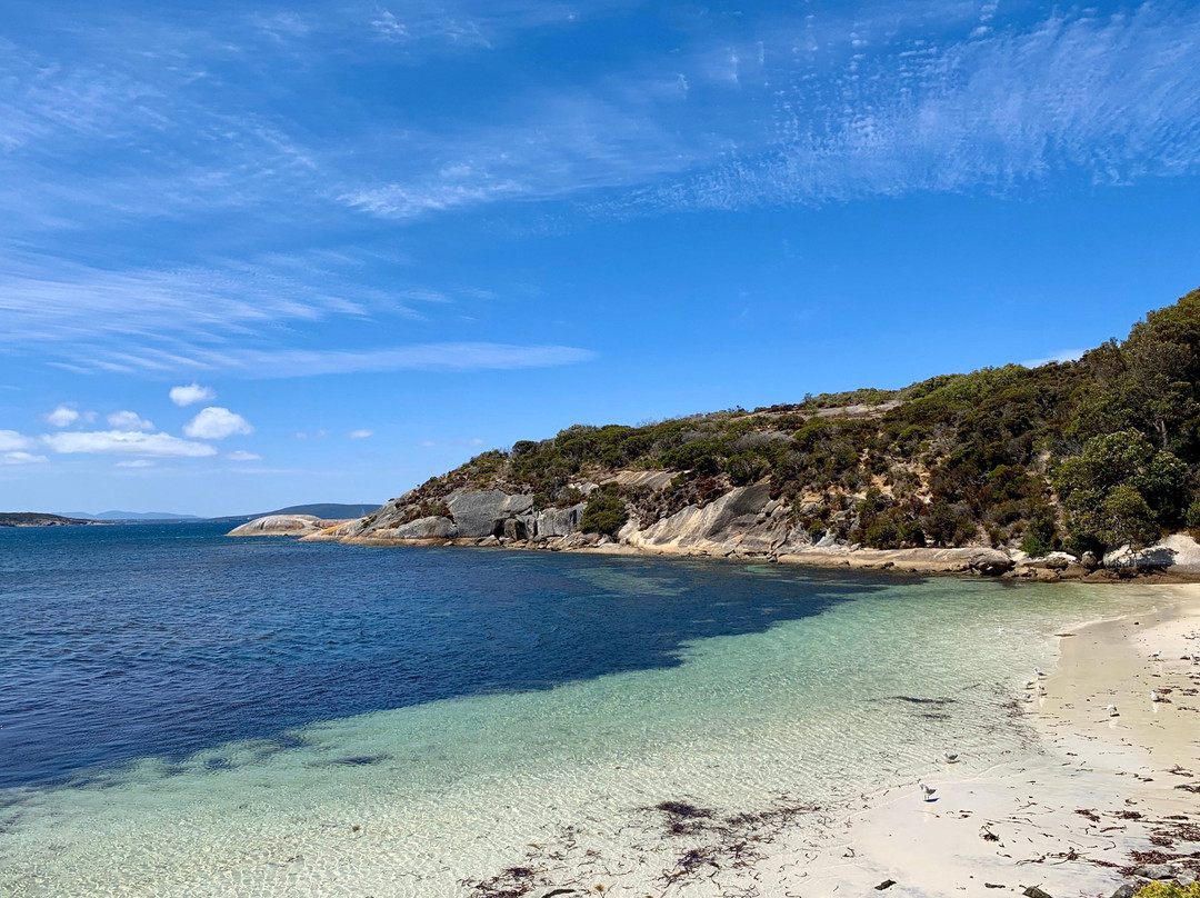 Frenchman Bay-奥尔巴尼必去景点