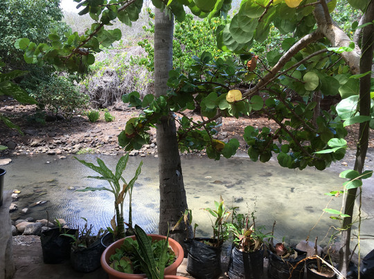 Chez Maurice et Delphine主图