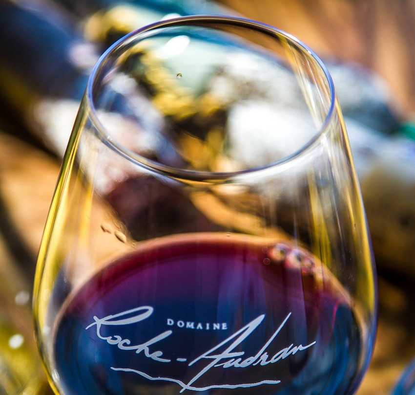 Domaine Roche-Audran景点图片