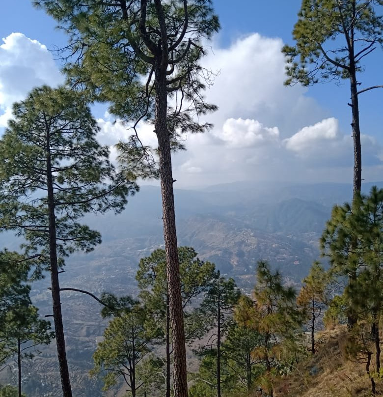 Kasaar Jungle Resort主图