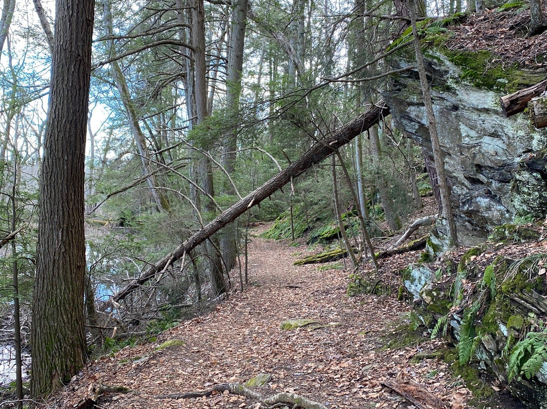 Saugatuck Falls Natural Area-Redding必去景点