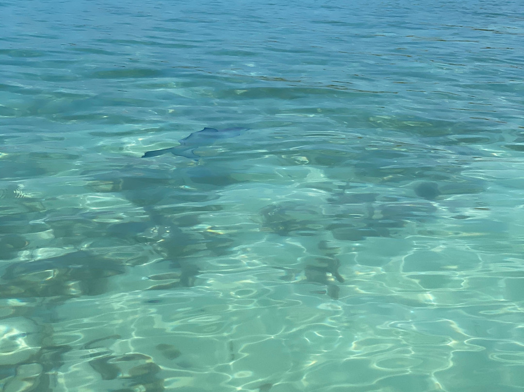 Isla Contoy National Park-Isla Contoy必去景点