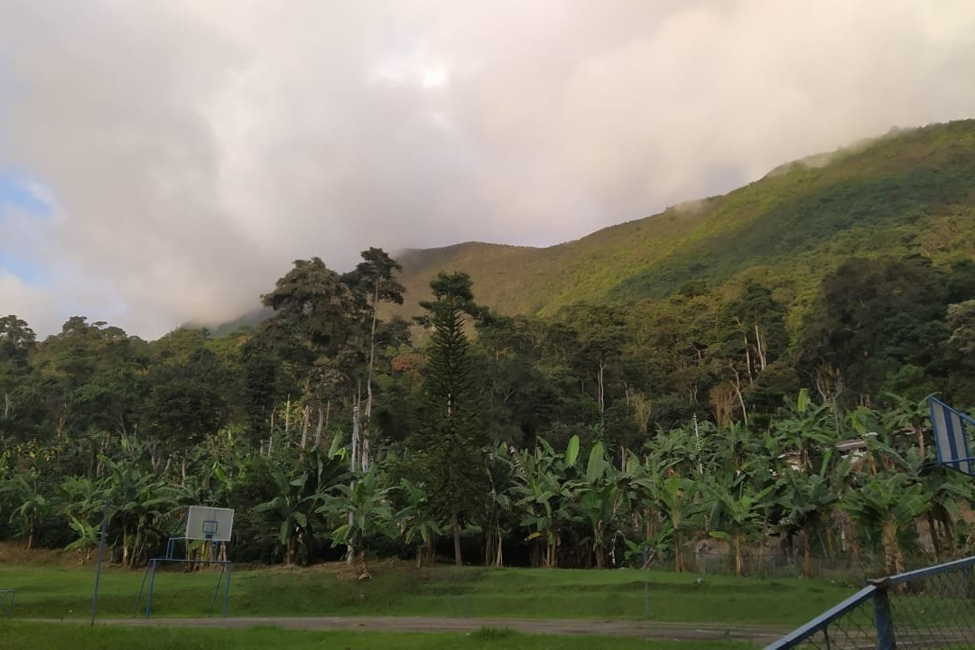 Finca Temática Cafetera Las Mercedes主图