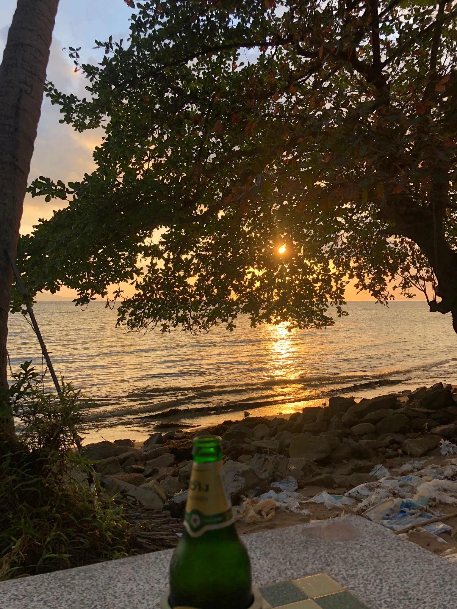 蓝莲花度假村-官方