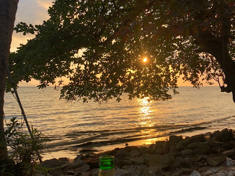 蓝莲花度假村主图