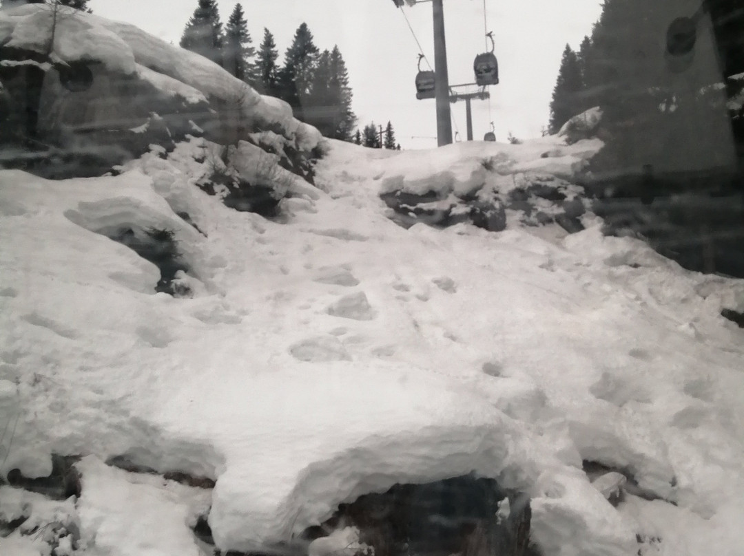 SkiArea San Pellegrino-Alpe Lusia景点图片