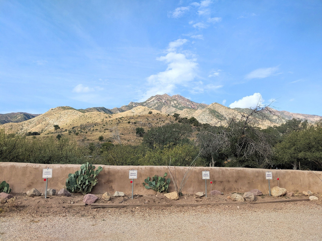 Ash Canyon Bird Sanctuary景点图片