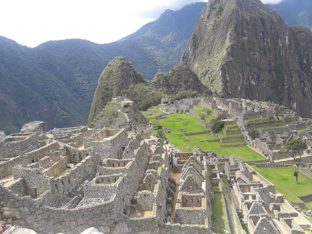 Jardin Botanico en Machu Pichu-马丘比丘必去景点