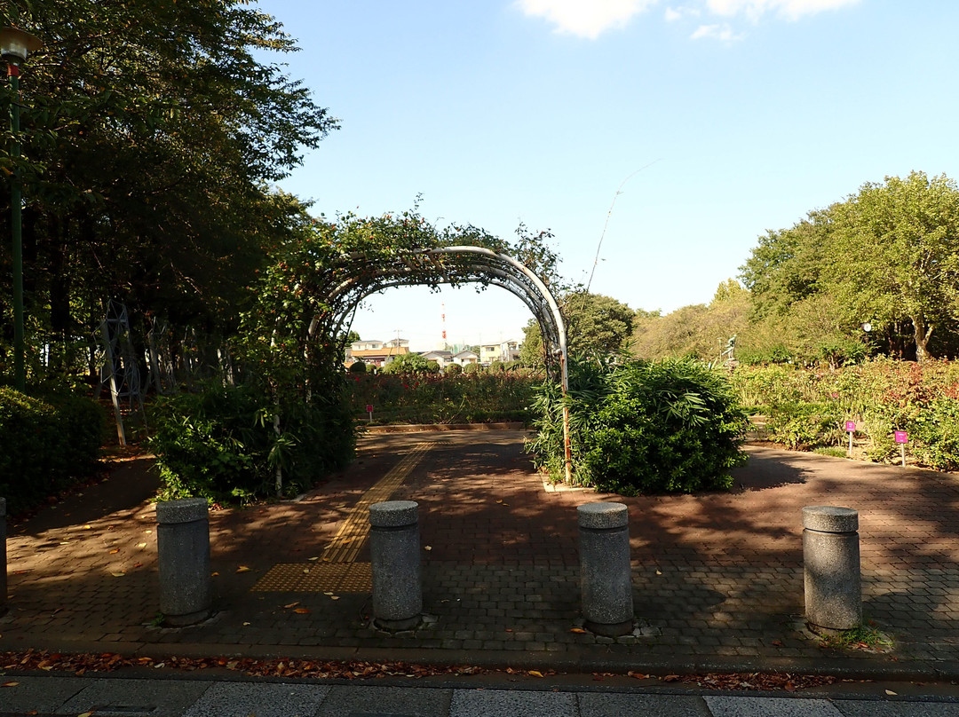 Yono Park-埼玉市必去景点