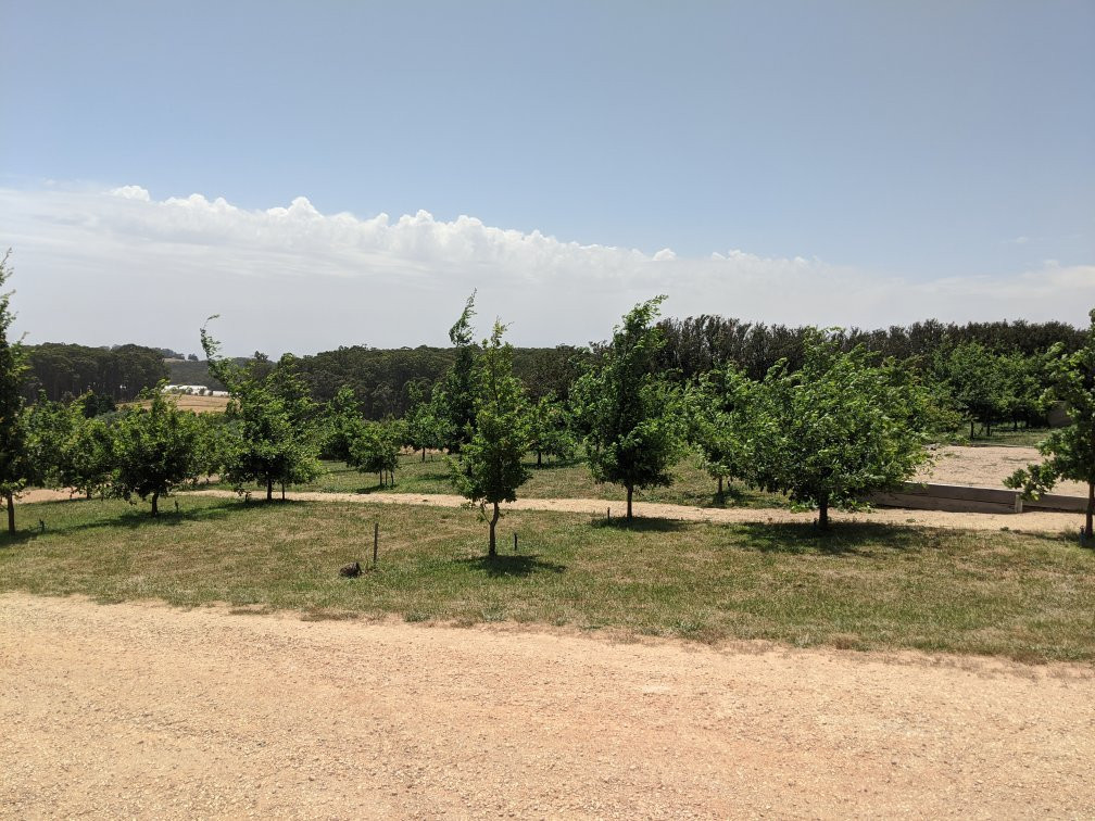 Passing Clouds Winery-戴尔斯福特必去景点