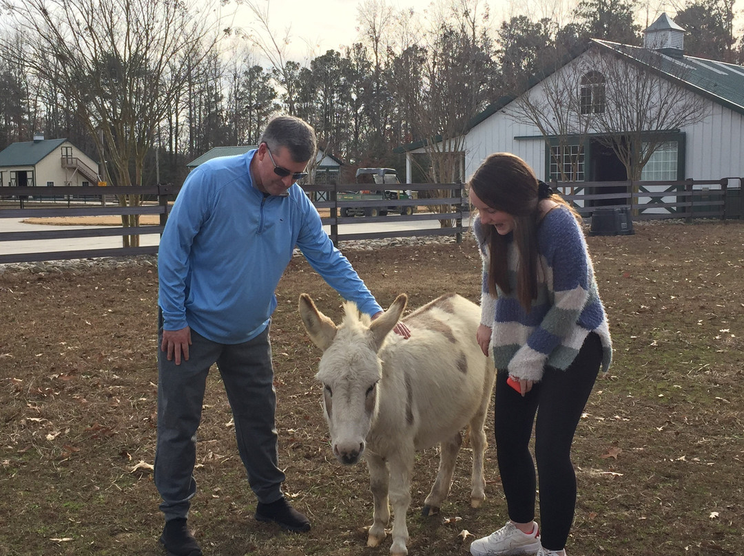 Fox Wire Farm Alpacas-Toano必去景点