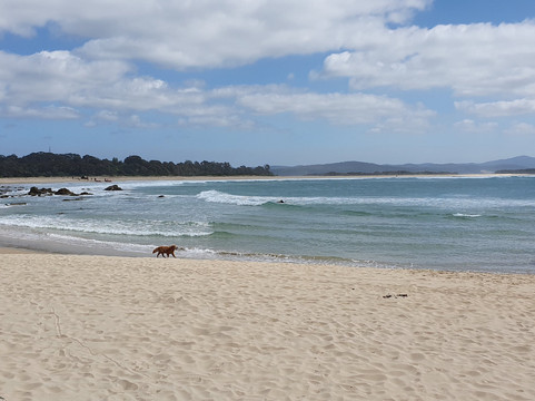 Cape Howe Marine National Park-Mallacoota必去景点