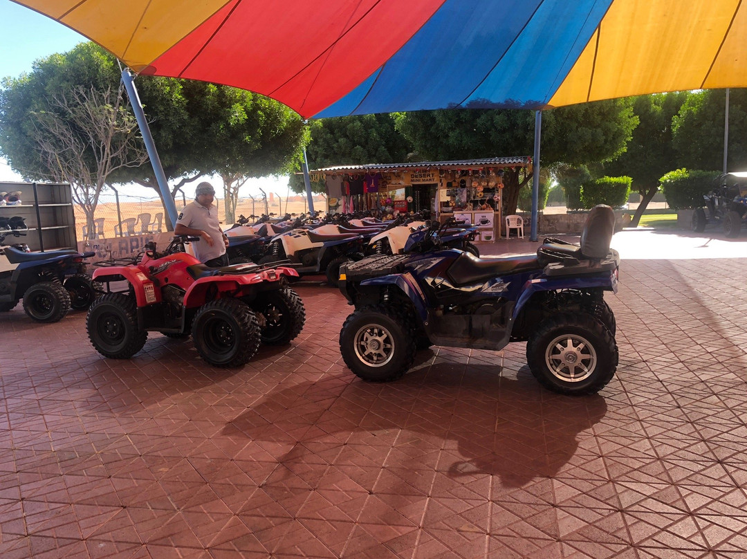 Golden Desert-迪拜必去景点