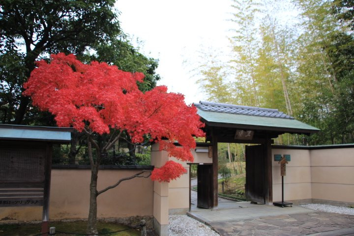 Satkai City Japanese Tea Room景点图片