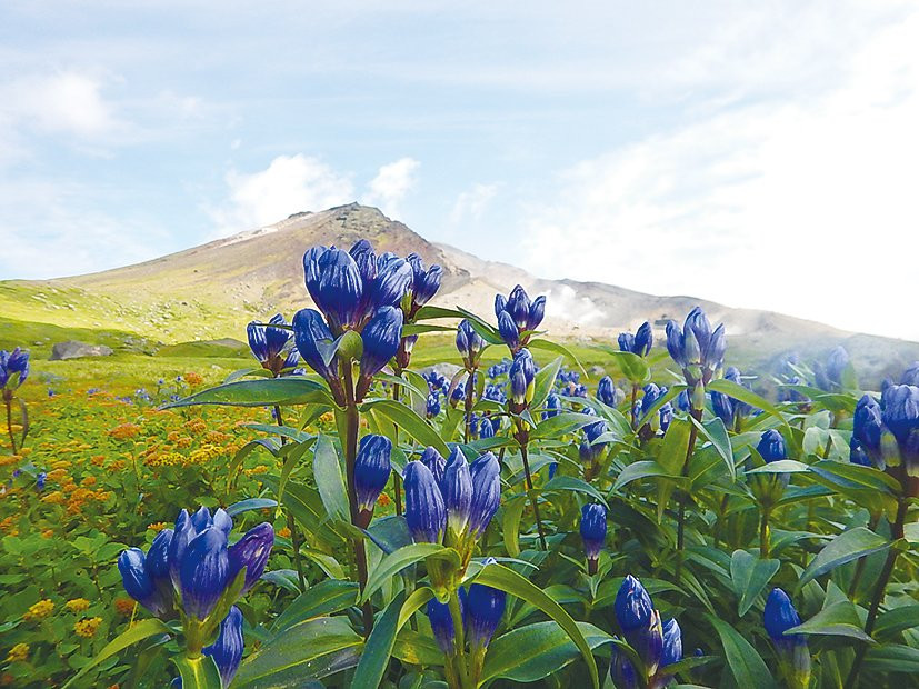 Daisetsuzan National Park-北海道必去景点