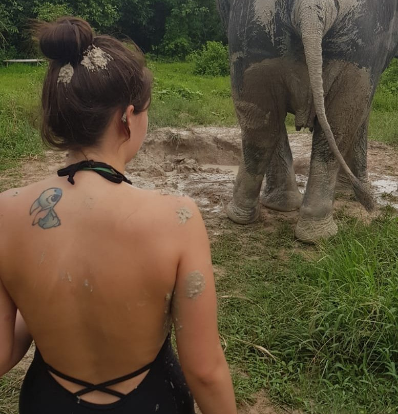 Krabi Elephant Sanctuary景点图片