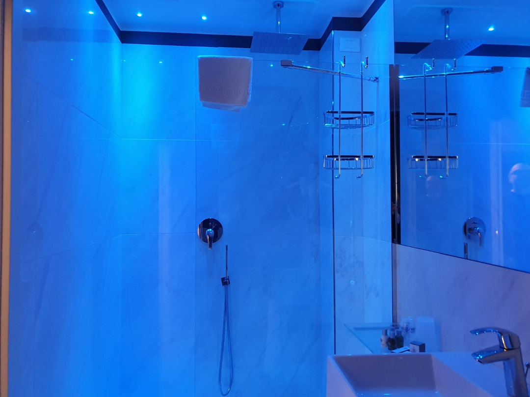 萨沃亚摄政酒店主图