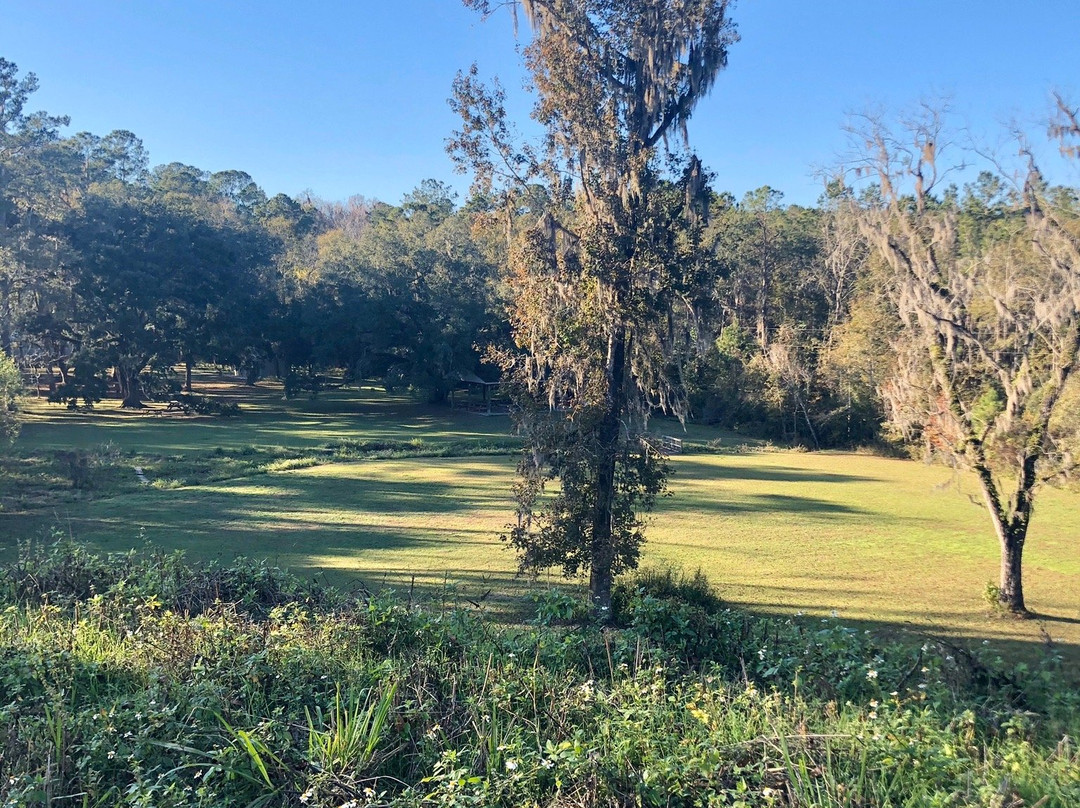 Lake Jackson Mounds Archaeological State Park景点图片