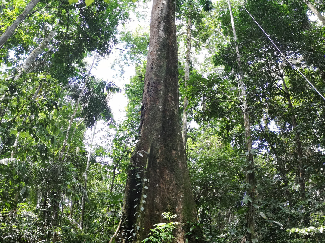塔博帕塔研究中心酒店主图