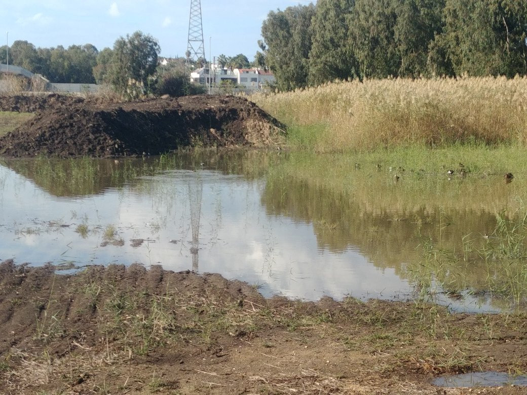 Herzliya Park-荷兹利亚必去景点