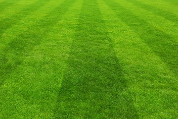 Pleasantville旅游攻略图片