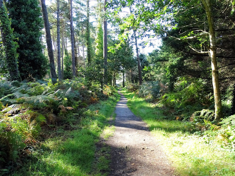 The Raven Nature Reserve-Curracloe必去景点