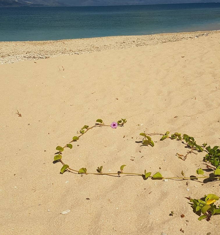 Tibarama Island-Poindimie必去景点