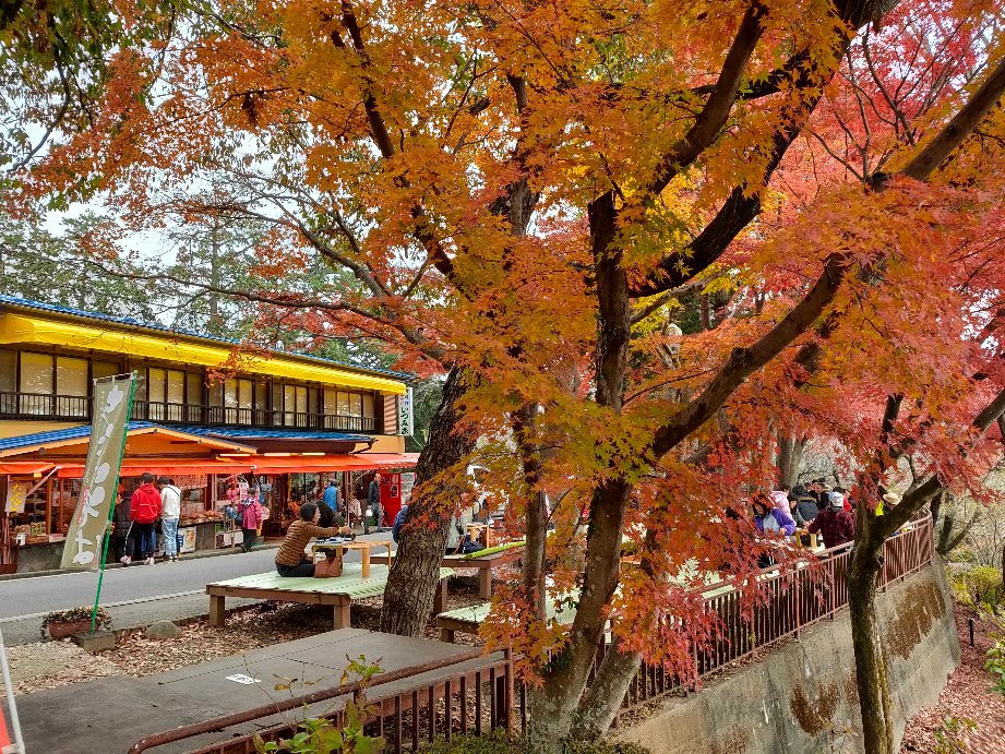 Kenshindaira-栃木市必去景点