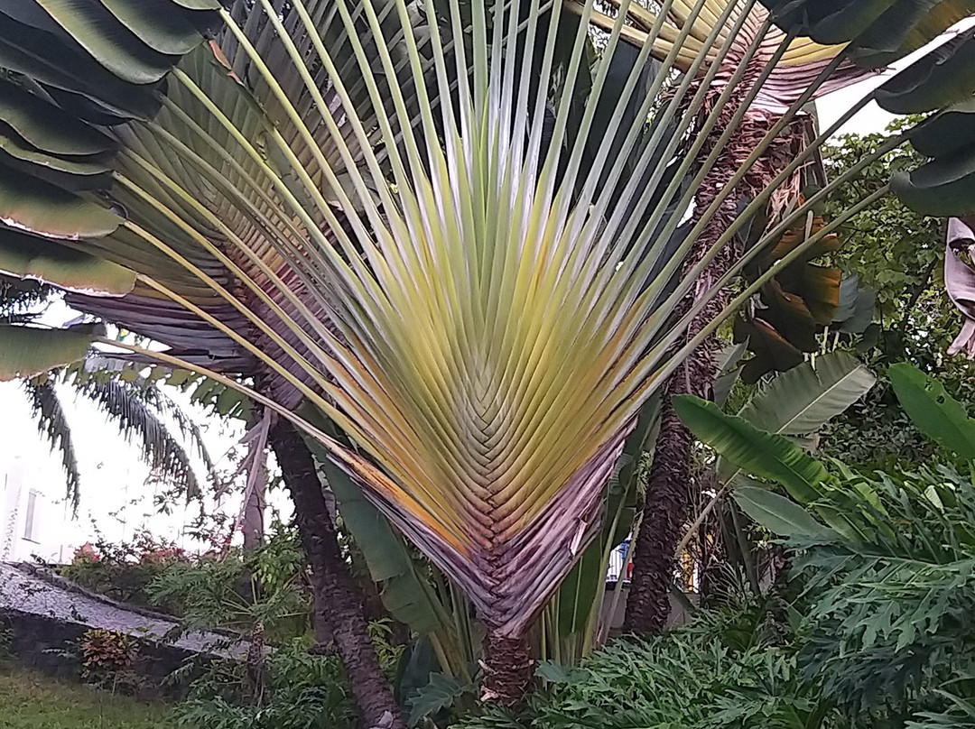 Hotel 7 Colinas主图