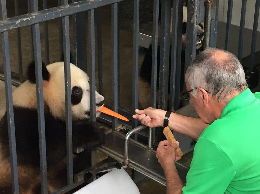 panda tour tailor景点图片