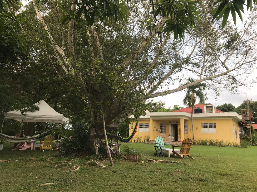 Campito Loving主图