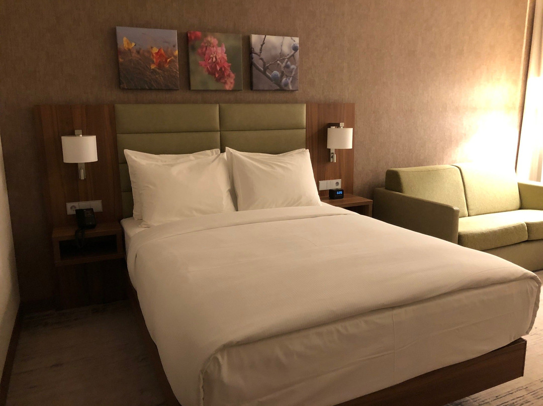 Hilton Garden Inn Orenburg主图
