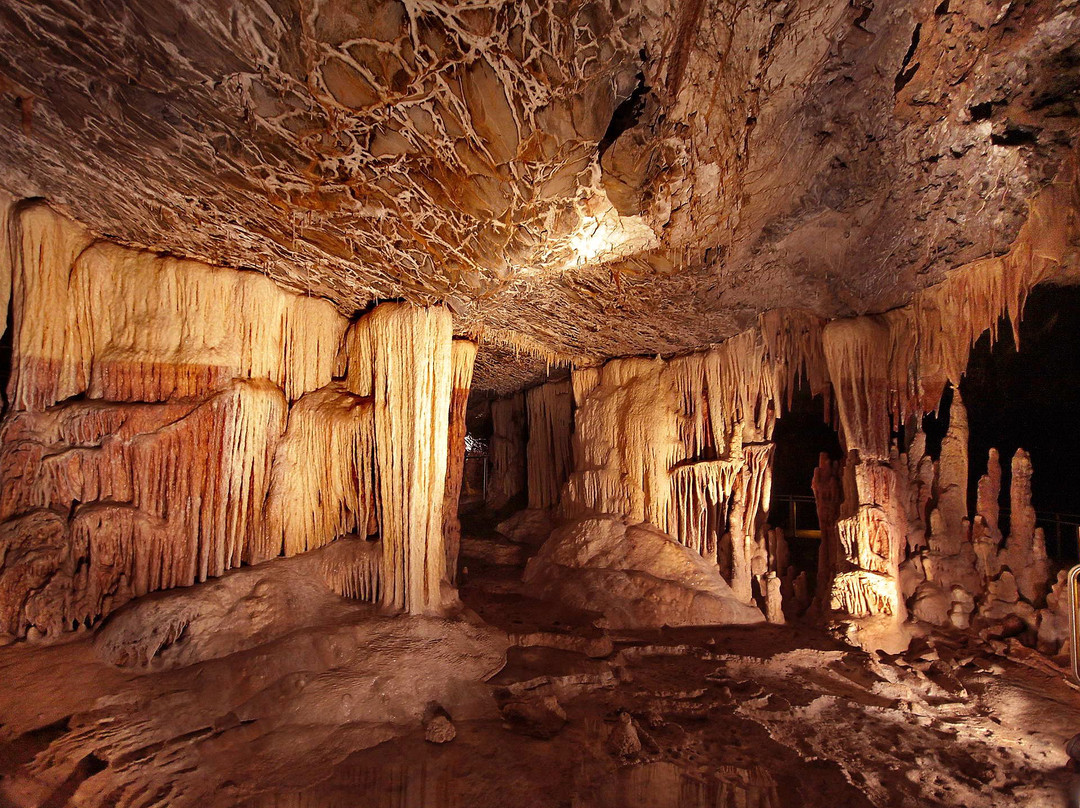 Eudaimonia Private Tours-雅典必去景点