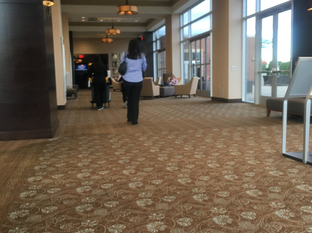 Hyatt Place Detroit / Novi主图