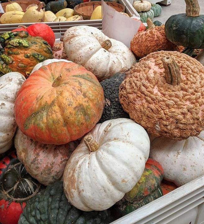 Ten Eyck Orchard-Brodhead必去景点