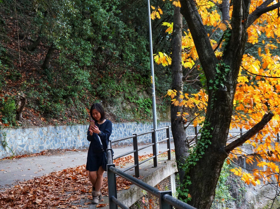 Pueblo de Montseny景点图片