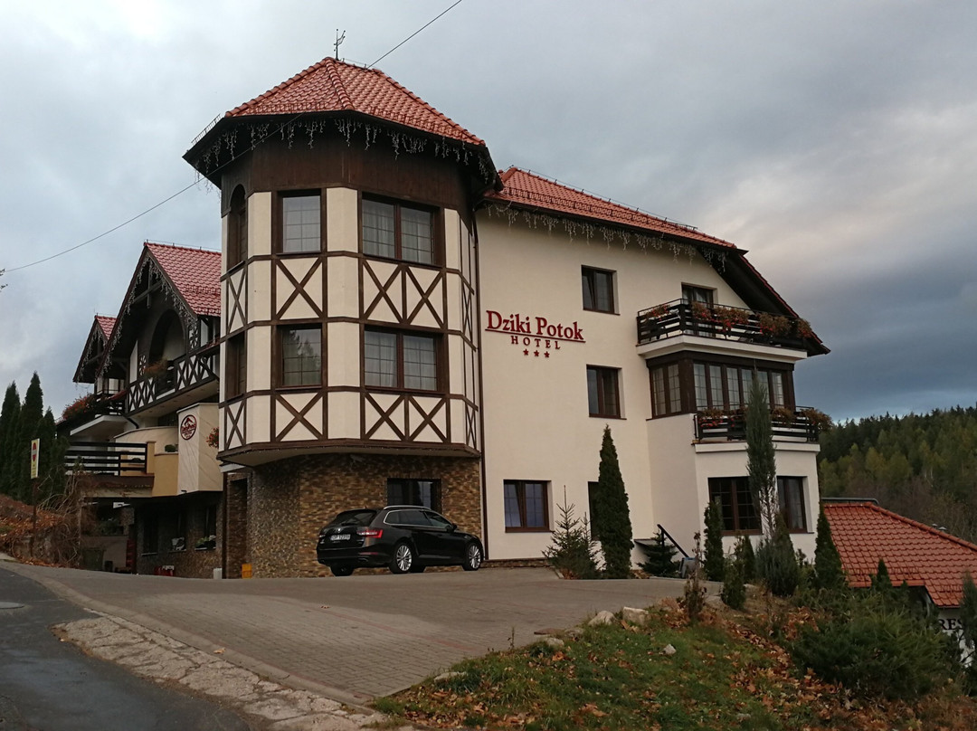 Dziki Potok Hotel & SPA主图