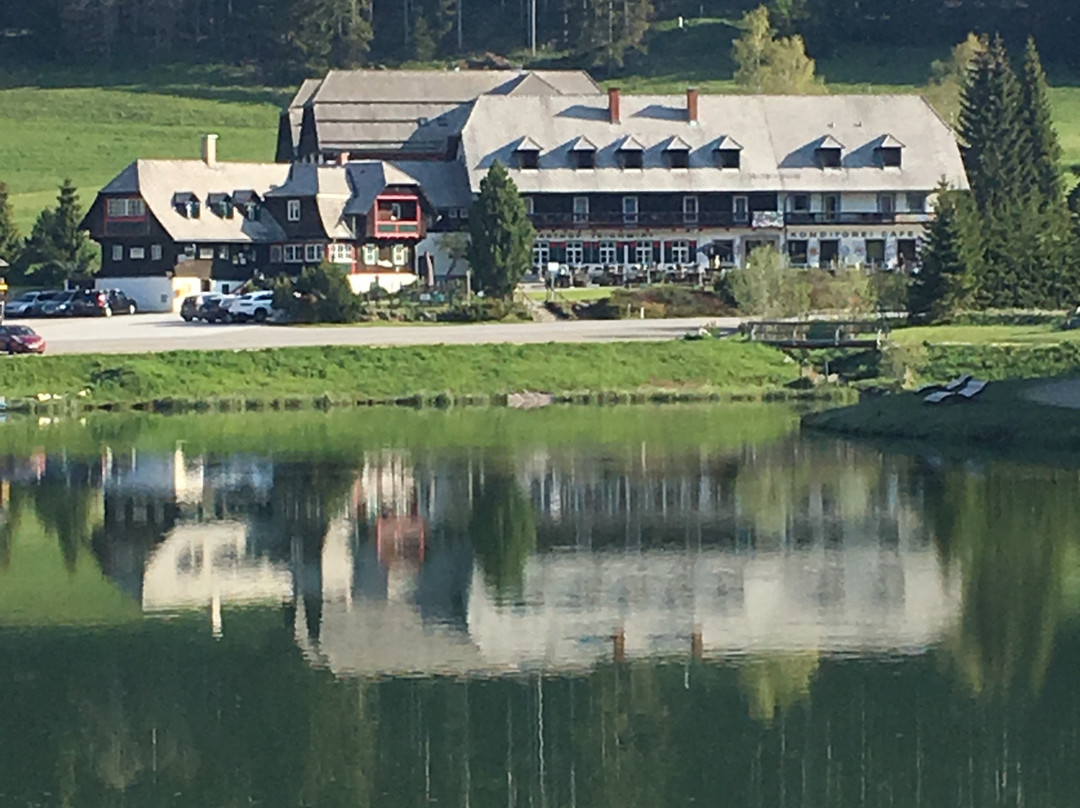 Almgasthof Hotel Teichwirt主图