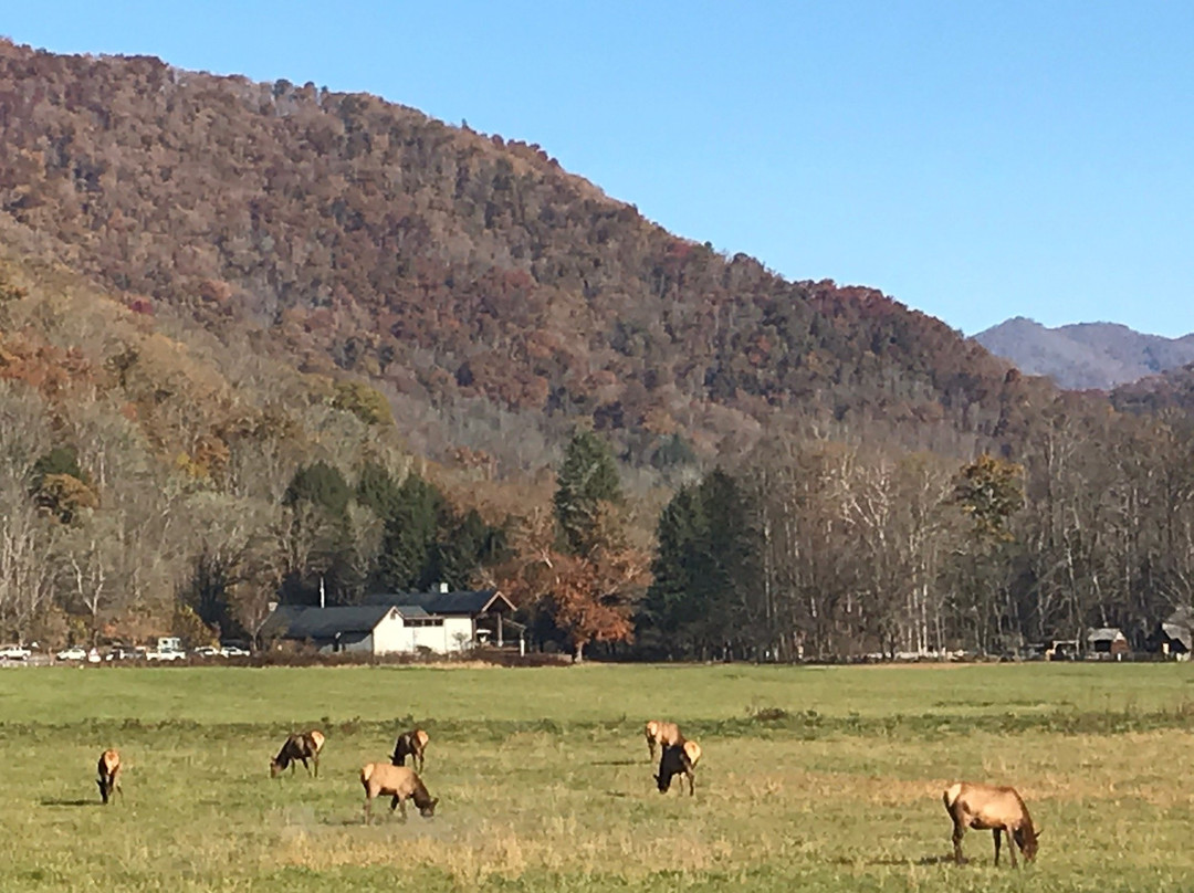 Mountain Farm Museum景点图片