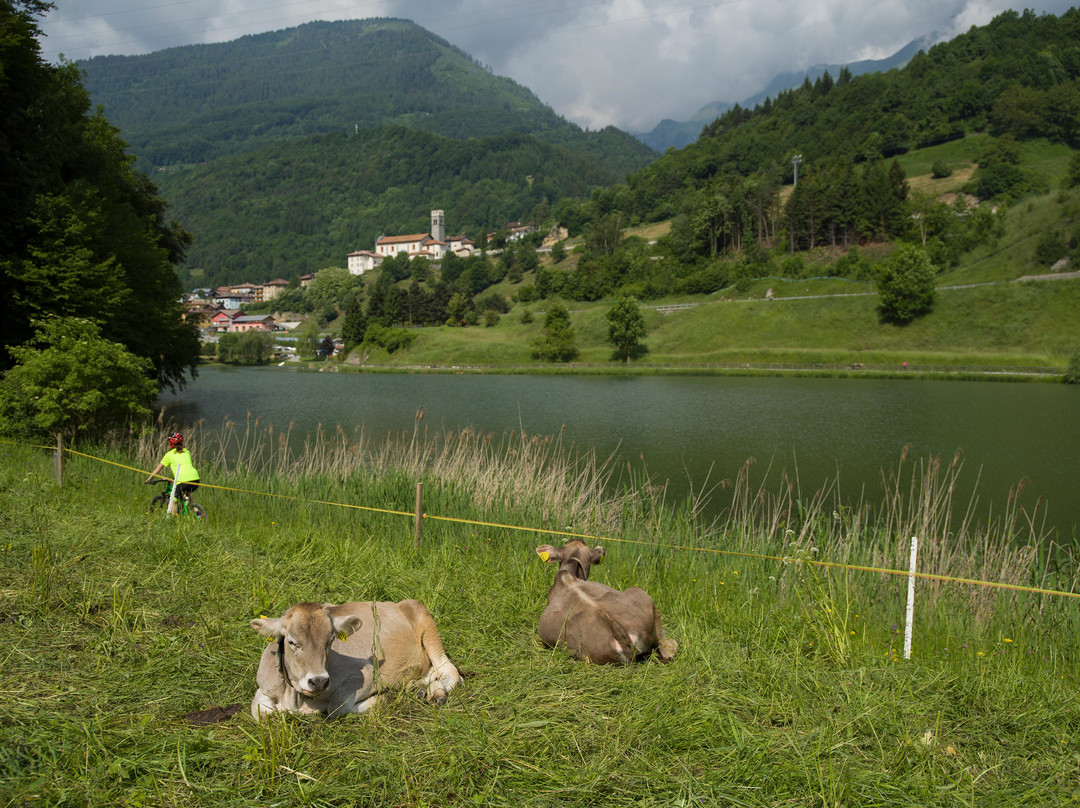 Valle del Chiese - Visit Chiese景点图片