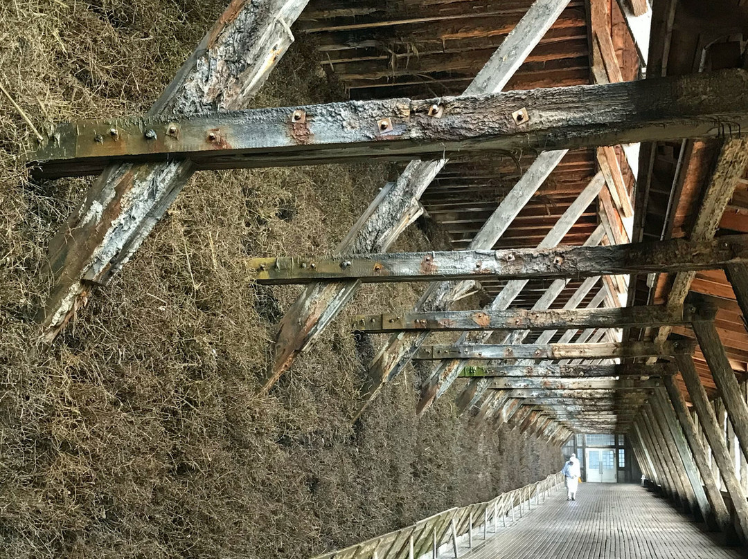Gradierwerk Bad Salzungen景点图片
