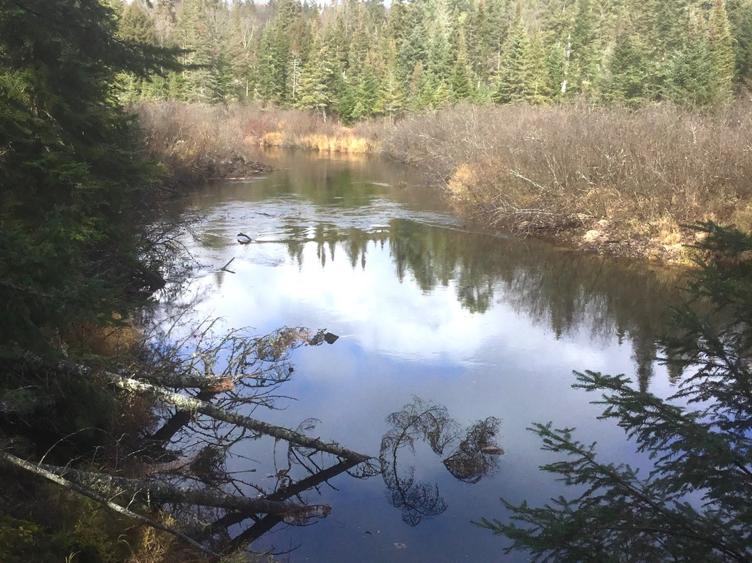 Whiskey Rapids Trail景点图片