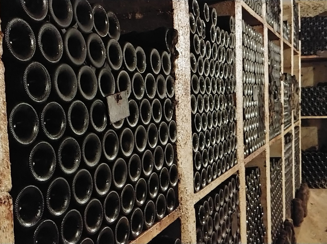 Vignoble de la Jarnoterie-Saint Nicolas de Bourgueil必去景点