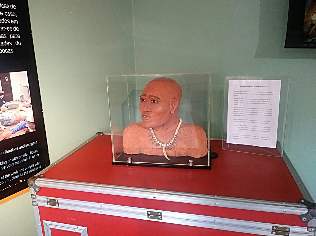 Museu Arqueológico de Sambaqui-Joinville必去景点