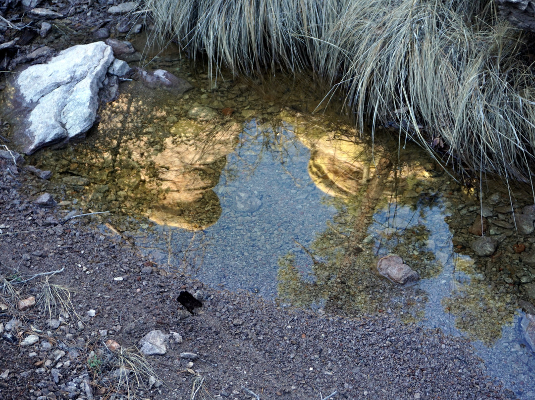 Echo Canyon Trail-Cochise必去景点